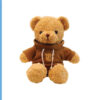 Teddy Bear with Brown Hoodie