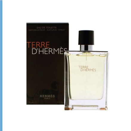 Terre d'Hermès 100ml